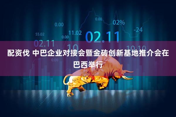 配资伐 中巴企业对接会暨金砖创新基地推介会在巴西举行