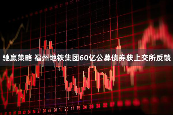驰赢策略 福州地铁集团60亿公募债券获上交所反馈