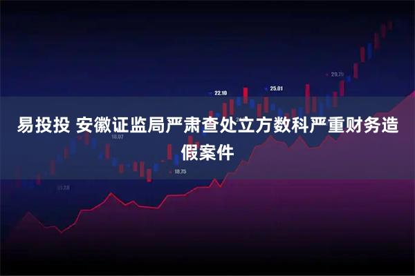 易投投 安徽证监局严肃查处立方数科严重财务造假案件