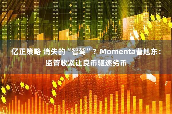 亿正策略 消失的“智驾”？Momenta曹旭东：监管收紧让良币驱逐劣币