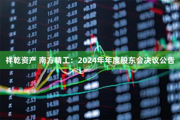 祥乾资产 南方精工：2024年年度股东会决议公告