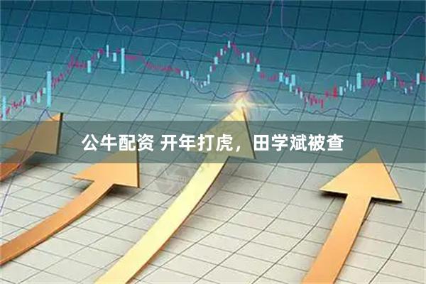 公牛配资 开年打虎，田学斌被查