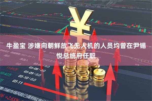 牛盈宝 涉嫌向朝鲜放飞无人机的人员均曾在尹锡悦总统府任职