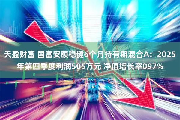 天盈财富 国富安颐稳健6个月持有期混合A：2025年第四季度利润505万元 净值增长率097%